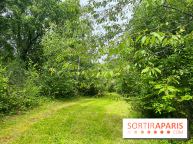 Arboretum de la Roche-Guyon - nos photos - image00002