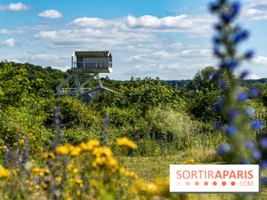 Le Parc du peuple de l'herbe dans les Yvelines - Étang de Galiotte - Carrières-sous-Poissy -  A7C7472