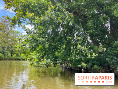 Domaine de Chamarande - nos photos - image00007