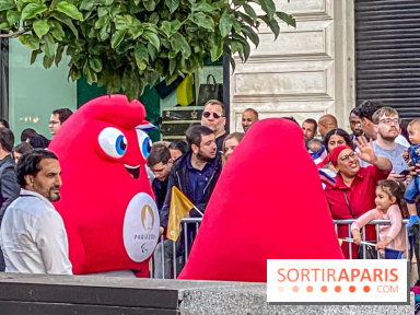 Jeux Olympiques de Paris 2024 relais de la flamme - IMG 8926