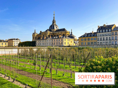 Les Saveurs du Potager du Roi à Versailles : marché de fruits & légumes, expositions et animations - image00055