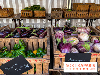 Les Saveurs du Potager du Roi à Versailles : marché de fruits & légumes, expositions et animations