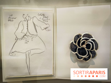 Les fleurs d'Yves Saint Laurent : l'exposition se dévoile en images au musée YSL