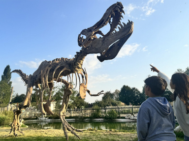 Campagne #33857 - Dinosaures 1 Parrot World   Dia de los Muertos 2025   1500x1000px