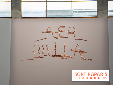 Exposition Praesentia de Myriam Mihindou au Palais de Tokyo - DSC 1631