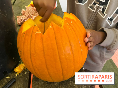 La Fête de la Citrouille - nos photos