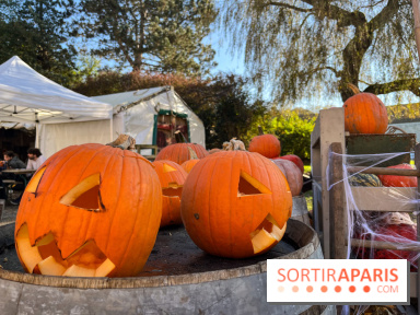 La Fête de la Citrouille - nos photos