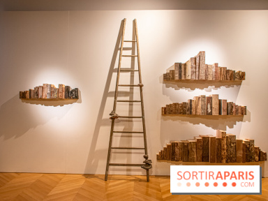 Exposition Les Cimes de l’Asphalte de Duy Anh Nhan Duc à l’Espace Richaud - DSC 2047