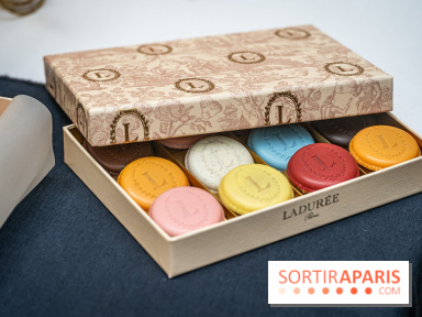 La bûche coffrets de Noël en trompe l'œil de Ladurée 2024 par Julien Alvarez et les créations de fête - macarons