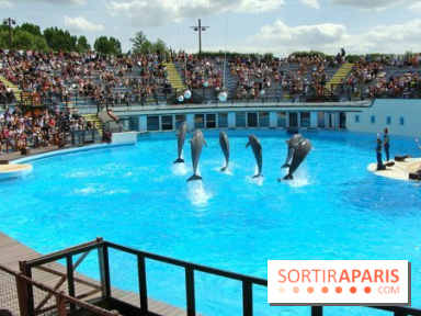 Parc Asterix
Dauphins