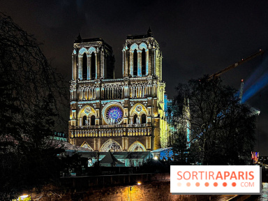 Réouverture de Notre-Dame de Paris - IMG 4235 jpg