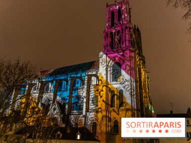 Lueurs de Mantes 2024, le parcours lumineux dans les Yvelines - photos -  A7C9158