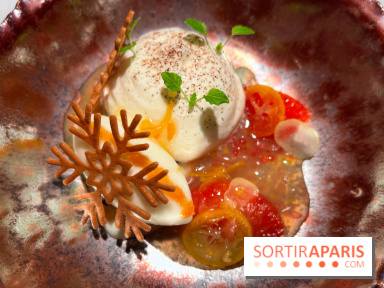 Virtus - Dessert main de bouddha