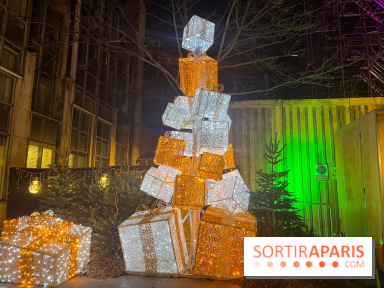 Bel Hiver Saint-Denis 2024 - nos photos