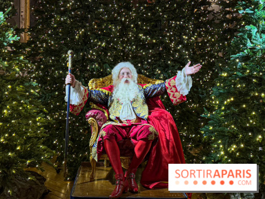 Le Parcours du Roi, la visite-spectacle de Noël 2024 du Château de Versailles - FullSizeRender 29