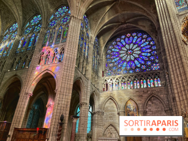 Chantier de reconstruction de la flèche de Saint-Denis  - IMG 8166