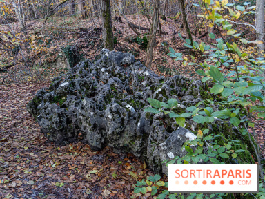 Randonnée à Fontainebleau : le sentier sur les pas de Denecourt jusqu’à la Tour Denecourt -  A7C7571