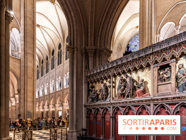 Visite de Notre-Dame de Paris -  A7C0221