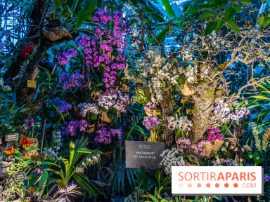 Mille et une orchidées 2025 - les photos