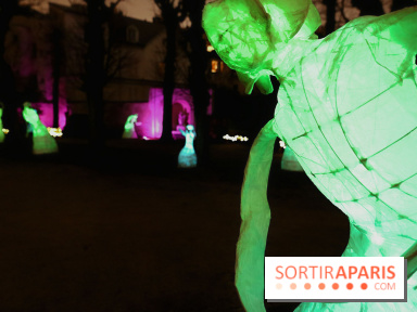Exposition Silva Lumina au Centre Culturel Irlandais  - Silva Lumina 12