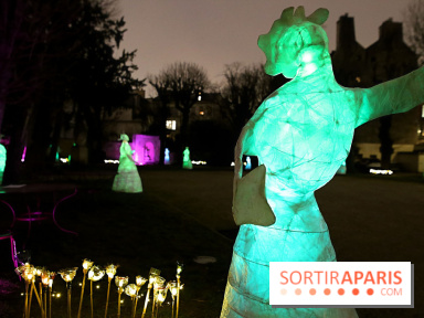 Exposition Silva Lumina au Centre Culturel Irlandais  - Silva Lumina 14