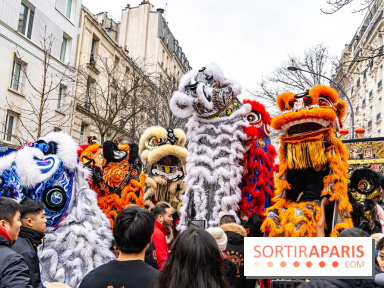 Défilé du Nouvel an Lunaire - Chinois 2025 Paris 13e - les photos -  A7C1606