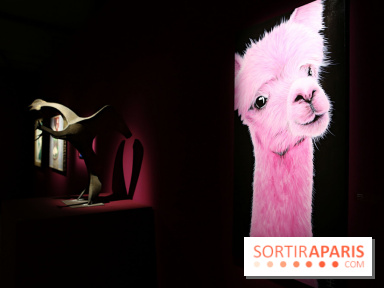 Trésors de Banlieues 2025, nos photos - Trésors Banlieues 8 fotor 202502149849