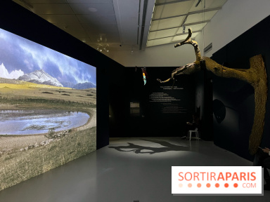 Paysages mouvants - IMG 8730