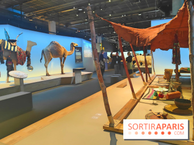 Déserts : l'exposition scientifique se dévoile au Muséum d'Histoire naturelle de Paris