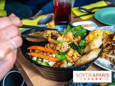 Buja restaurant végétarien thaï et Viet Paris 13e - photos - pas thai