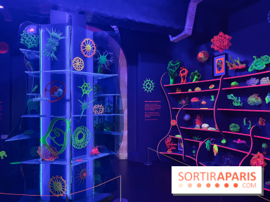 Digital Abysses au musée en Herbe - nos photos - 5E840A8C 6B0E 4F9C A75C 355062E1DA7E