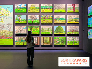 David Hockney : la plus grande exposition retrospective de l'artiste à la Fondation Louis Vuitton - IMG 8663 jpg