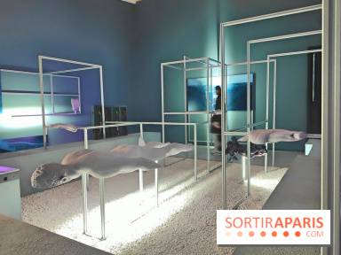 Intelligence artificielle : Le Monde selon l’IA, l'exposition du Jeu de Paume se dévoile - fotor 1744279708734