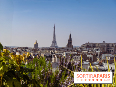 Rooftop de Dame des Arts, la terrasse panoramique sur les toits de Paris - photos  - A7C06281
