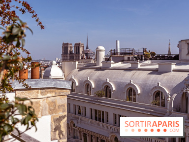 Rooftop de Dame des Arts, la terrasse panoramique sur les toits de Paris - photos  - A7C06287