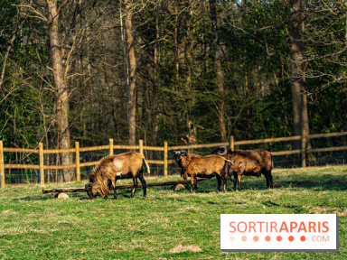 La Ferme de l’Abbaye des Vaux de Cernay : l'hôtel de charme en pleine nature dans les Yvelines - photos