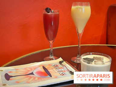 Speechless, le bar à cocktail à la programmation animée dans le 12e arrondissement de Paris - IMG 9758