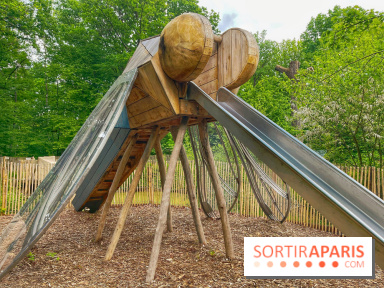 Mission Forêt - IMG 2145