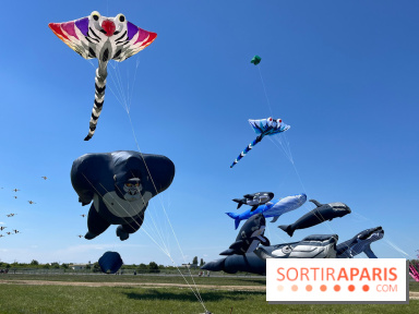 Festival de Cerfs-Volants à la Base 217
