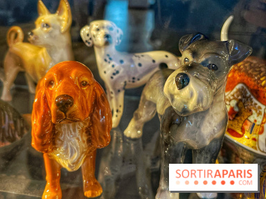 Collection dédié aux chiens