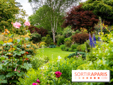 Le Jardin des Aubépines a Auffargis  - A7C01416