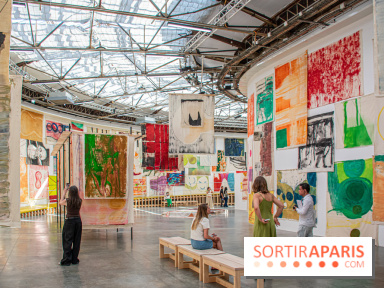 Exposition Disco de Vivan Sutter au Palais de Tokyo - DSC 3057