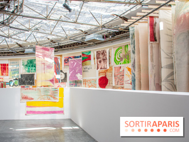 Exposition Disco de Vivan Sutter au Palais de Tokyo - DSC 3065