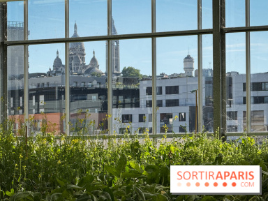 Rooftop Plantation Paris
