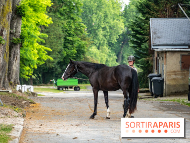 Visite guidée de l'École Mlitaire d'Équitation - A7C02319