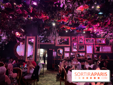 Wonderwoods - IMG 3816