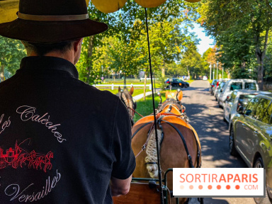 Tous en piste ! à Maisons-Laffitte (78): poneys, calèche et spectacles équestres gratuits au château