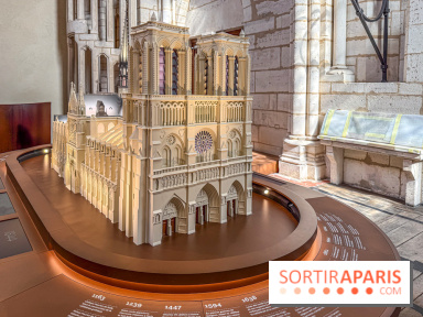 Visite des tours de Notre-Dame de Paris