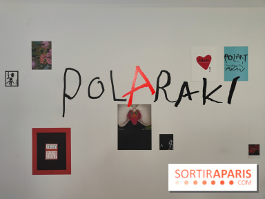 Polaraki, mille polaroids d'Araki Nobuyoshi : l'exposition du musée Guimet se dévoile