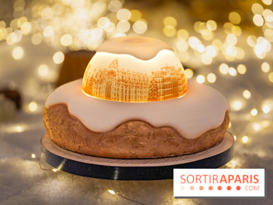 la Bûche de Noêl du Mandarin Oriental Lutetia aux Lumières de Paris